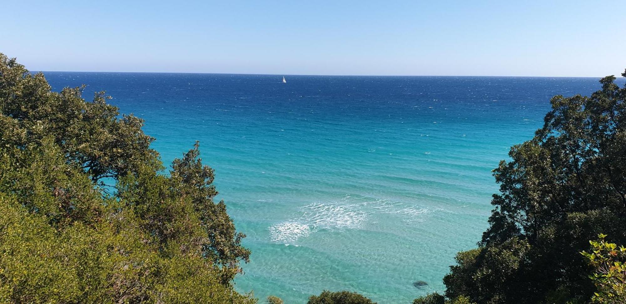 Auberge De Cannedda Sari-Solenzara Pokoj fotografie